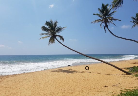 photo : 