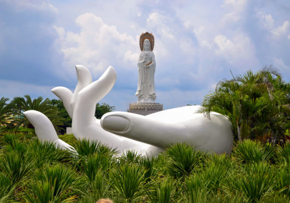 photo : 